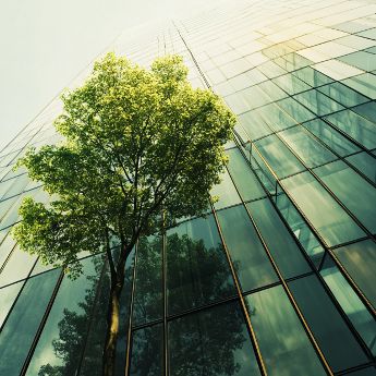 CSRD (Directiva de Reporte de Sostenibilidad): Navegando por el nuevo panorama de la sostenibilidad corporativa