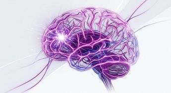 Tu cerebro en acción: 10 claves para aprender, decidir y conectar